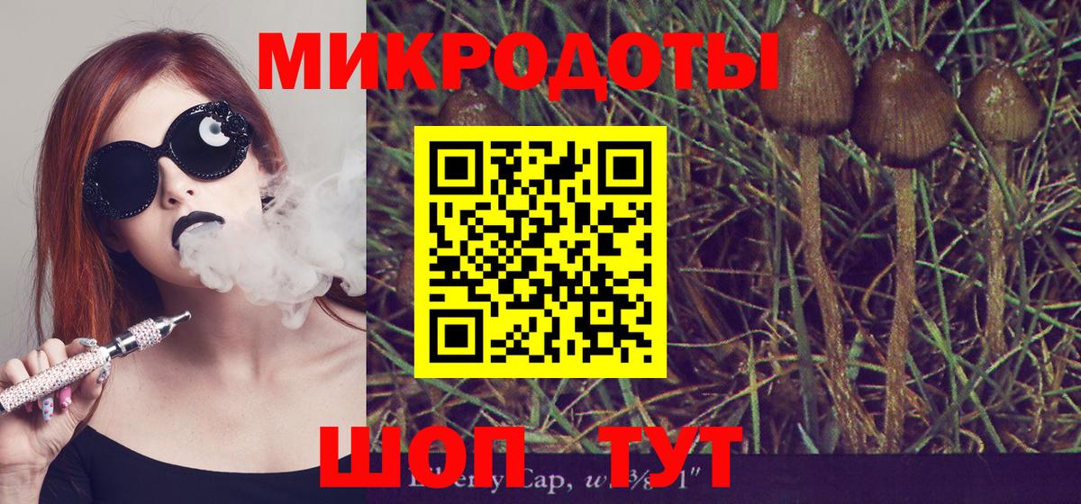 Псилоцибиновые грибы GOLDEN TEACHER  где купить   Вход с VPN  Чистополь  Галлюциногенные грибы GOLDEN TEACHER 