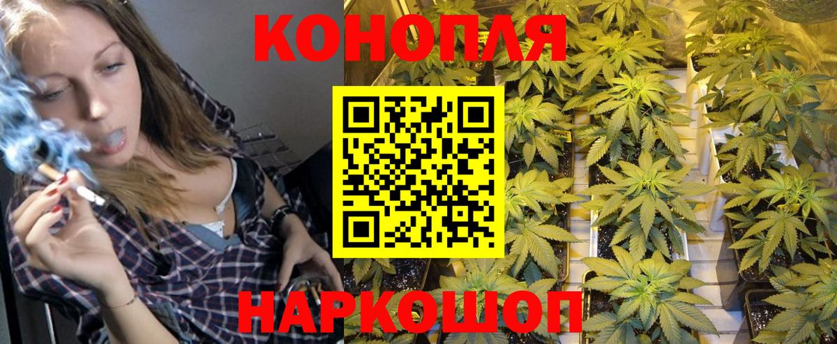 Конопля тримм  МАРИХУАНА White Widow  Бошки марихуана OG Kush  Чистополь  Вход с VPN 